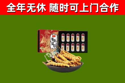 青山回收冬虫夏草价格